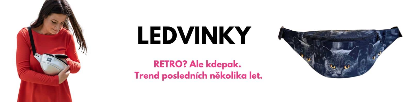 ledvinky - dareceknamiru